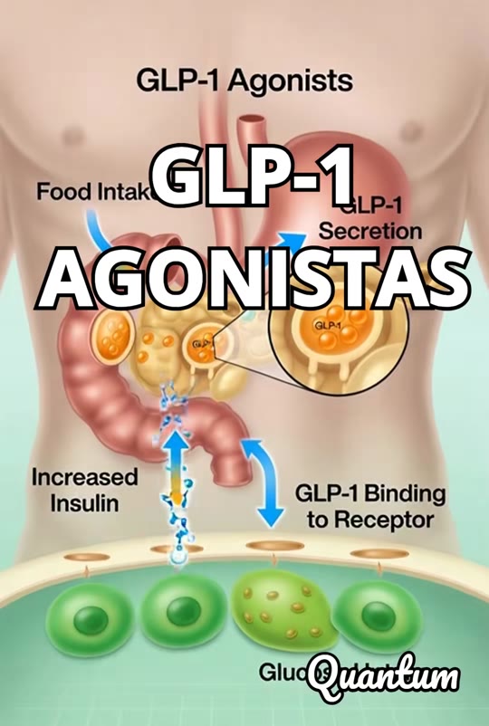 @quantum_mx_gen_ia's GLP-1 science claims, fact-checked