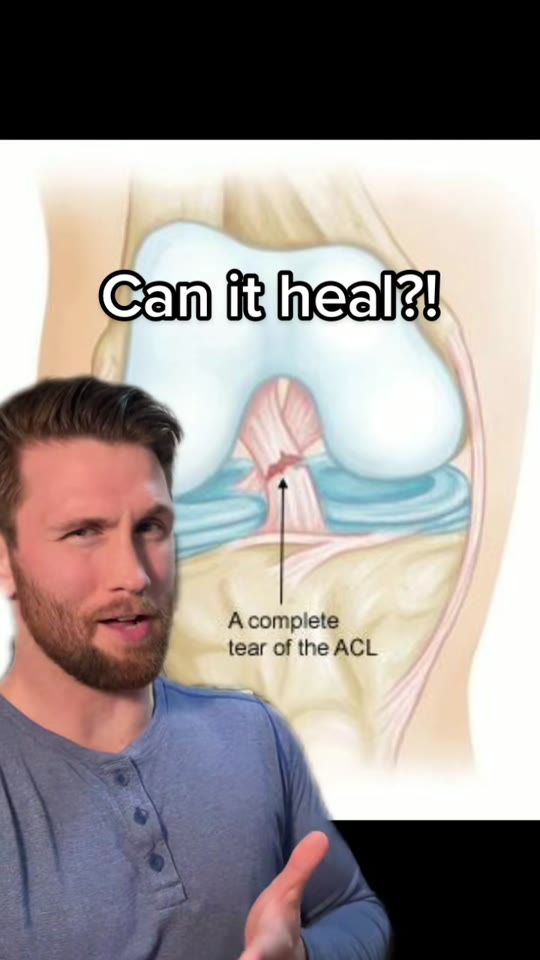 BPC-157 and ACL recovery: what the evidence actually shows