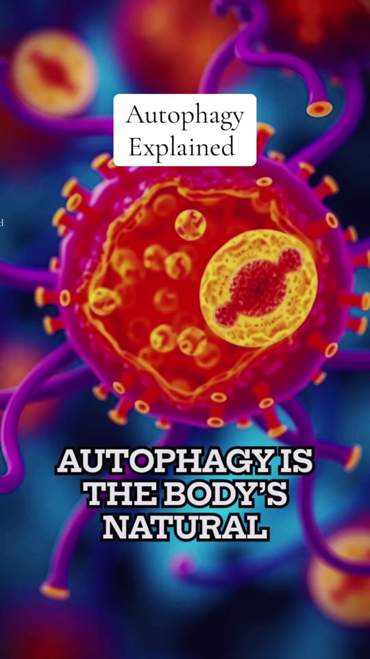 Autophagy and metabolic health: separating TikTok hype from cell biology