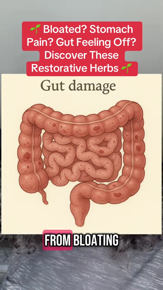 Herbs for bloating and gut health: what TikTok gets wrong