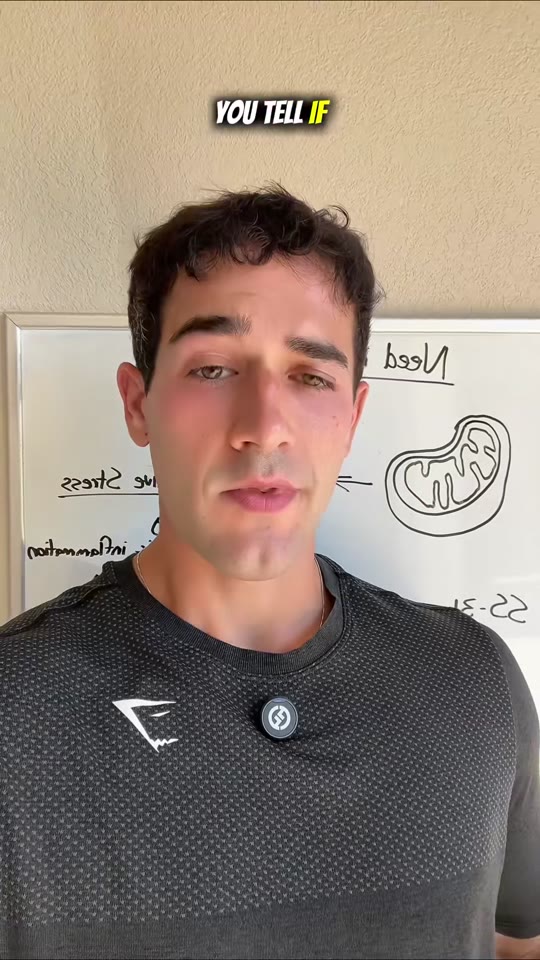 SS-31 peptide claims on TikTok: what the science actually shows