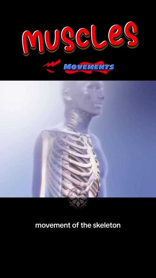Muscle physiology TikTok meets peptide hype: what holds up?