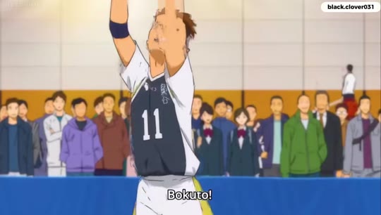 Peptide hype on TikTok: separating Haikyuu from hard science