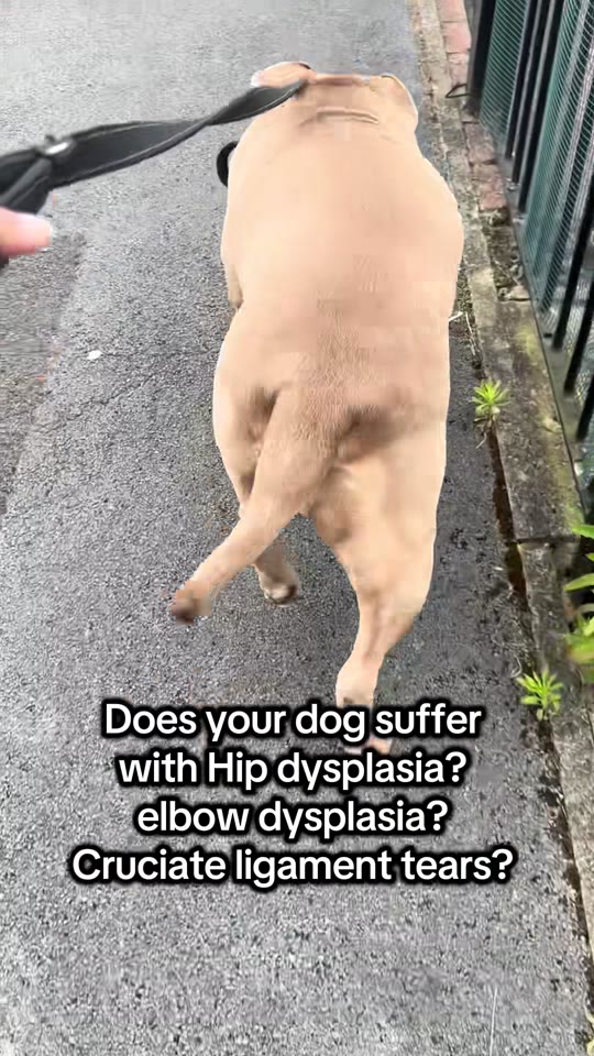 TB-500 for hip dysplasia and cruciate injuries: what the evidence shows