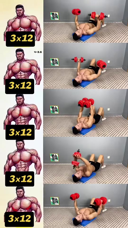 Can a few chest exercises actually build muscle fast?
