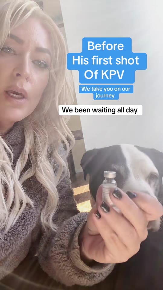 Peptide therapy TikTok claims: separating hype from human data