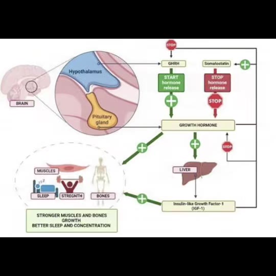 Peptide therapy TikTok claims: what the science actually supports