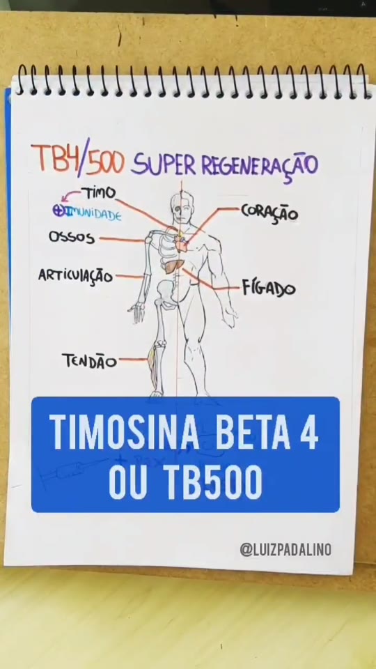 @luizpadalino's TB-500 combo claims, fact-checked