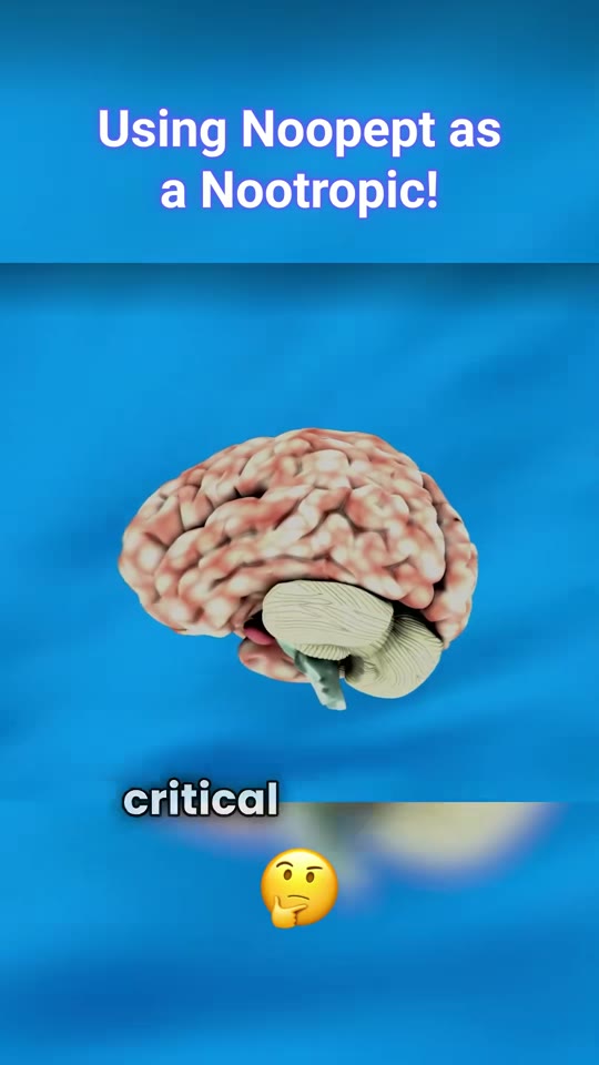 Noopept as a nootropic: what the science actually supports