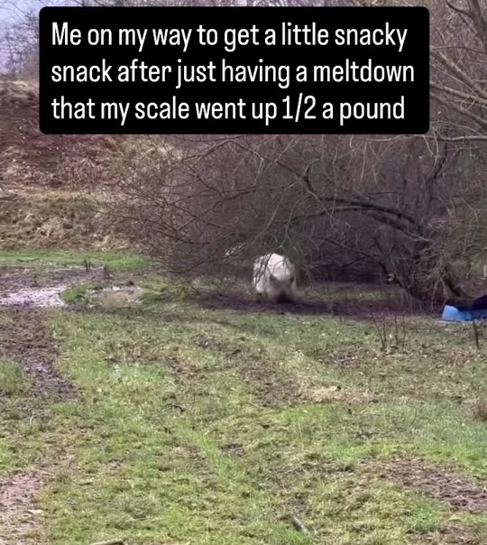 @davidson.shellie's HRT claims need some context