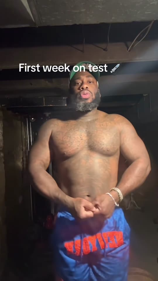 @meathhead55's steroid cycle documentation, fact-checked