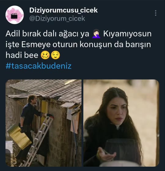 @diziyorumcusu_cicek's TRT post raises questions we can't verify