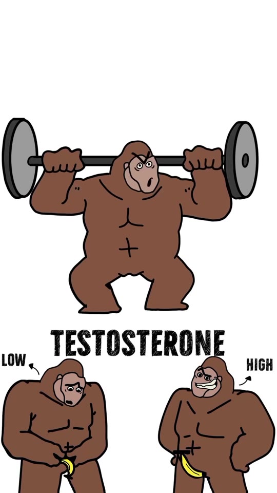 @apeness1's natural testosterone tips, fact-checked