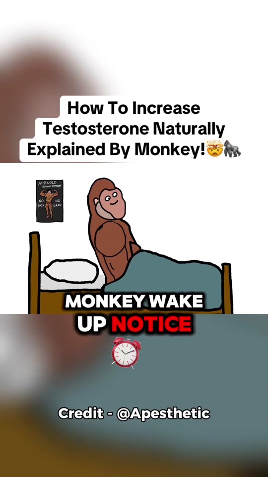 @insightful_animations's testosterone tips, fact-checked