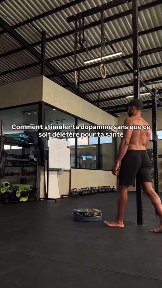 @chris__aud's dopamine optimization claims, fact-checked