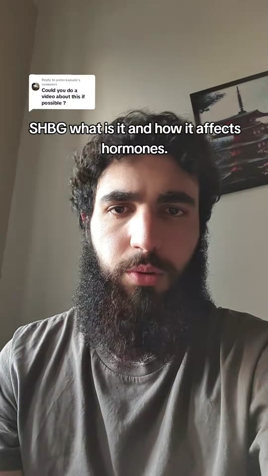 SHBG and testosterone: what TikTok gets right and wrong