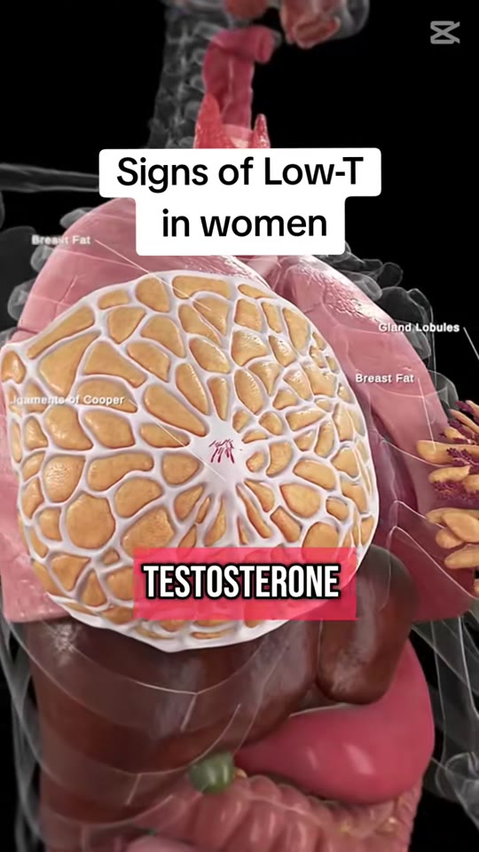 Low testosterone in women: separating real symptoms from TikTok noise
