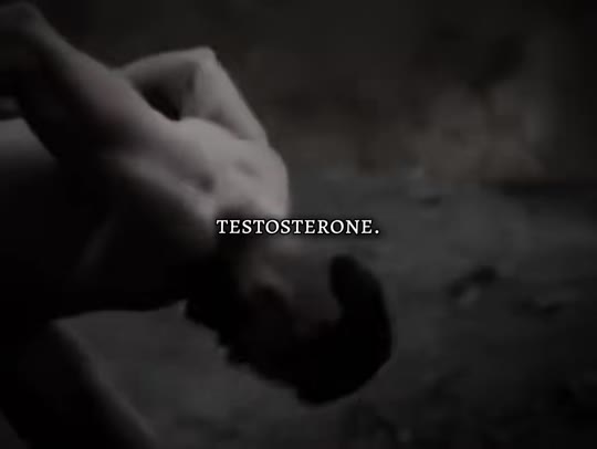 @w1nner_mentality's testosterone claims need context