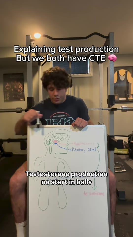 @chadjitsu's testosterone pathway claims, fact-checked