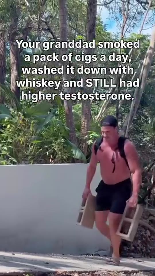 Did men really have better testosterone in grandpa's day?